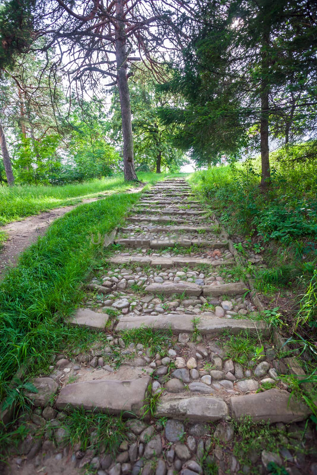 River rough stones paved stairs