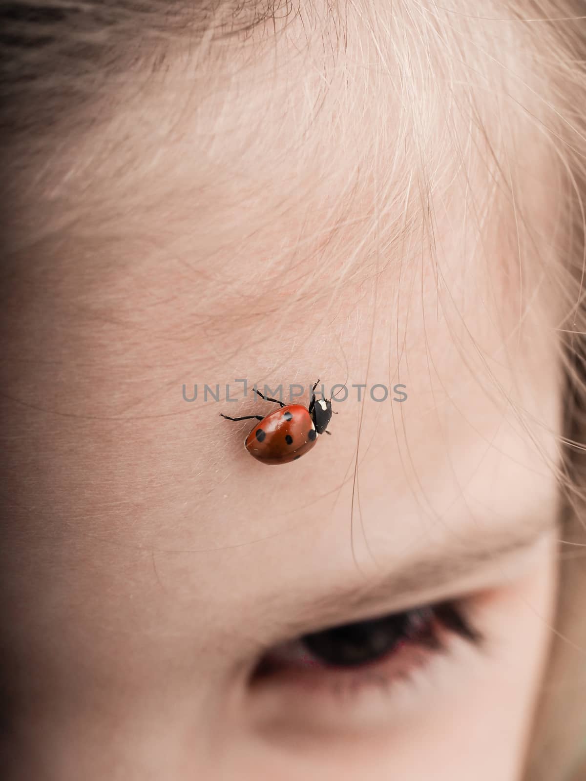 Ladybird bug walking across forehead of a girl by Arvebettum