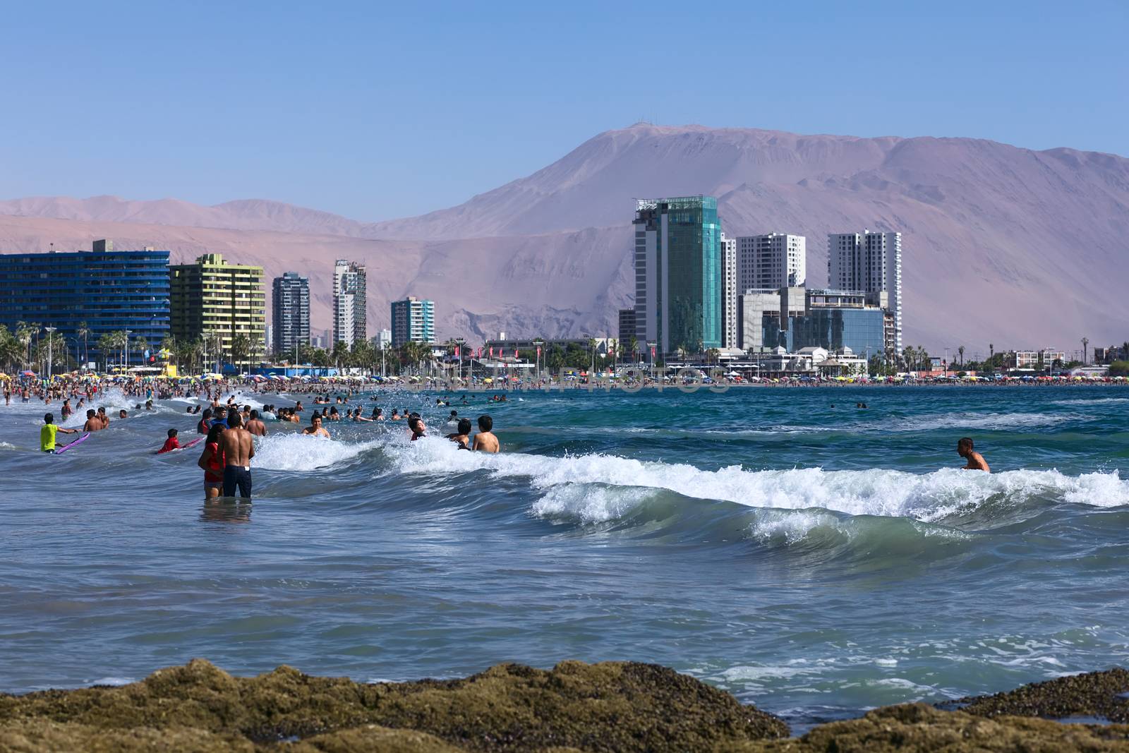 Cavancha Beach in Iquique, Chile by sven