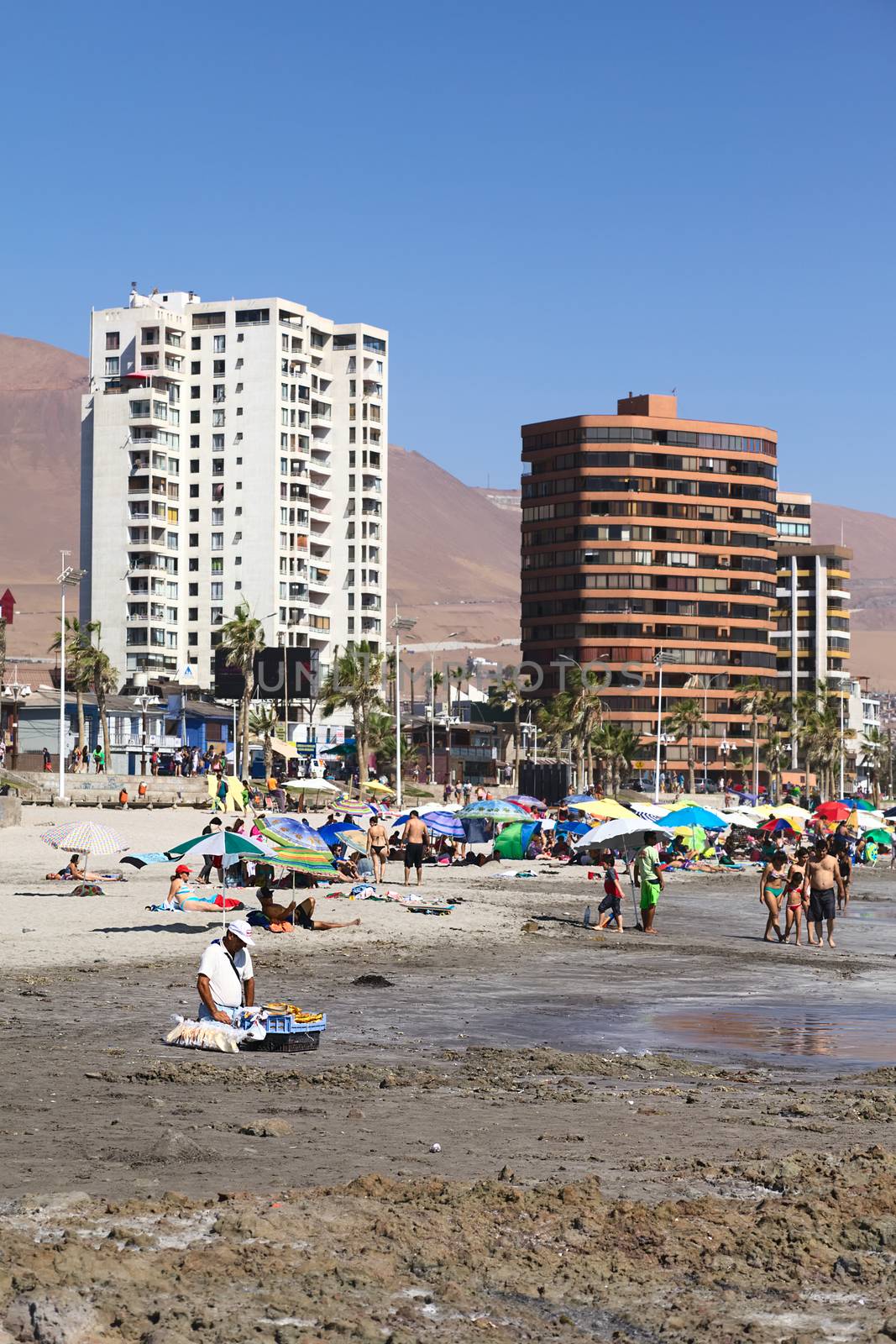 IQUIQUE, CHILE - FEBRUARY 10, 2015: Unidentified people on sandy Cavancha beach on February 10, 2015 in Iquique, Chile. Iquique is a popular beach town and free port city in Northern Chile. 
