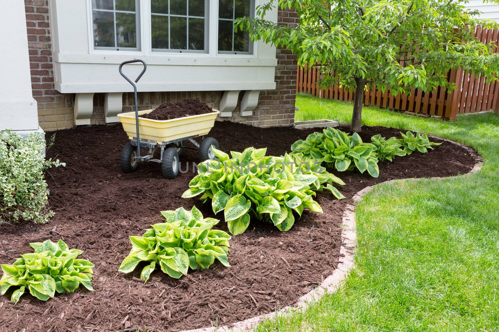 Garden maintenance in spring doing the mulching by coskun