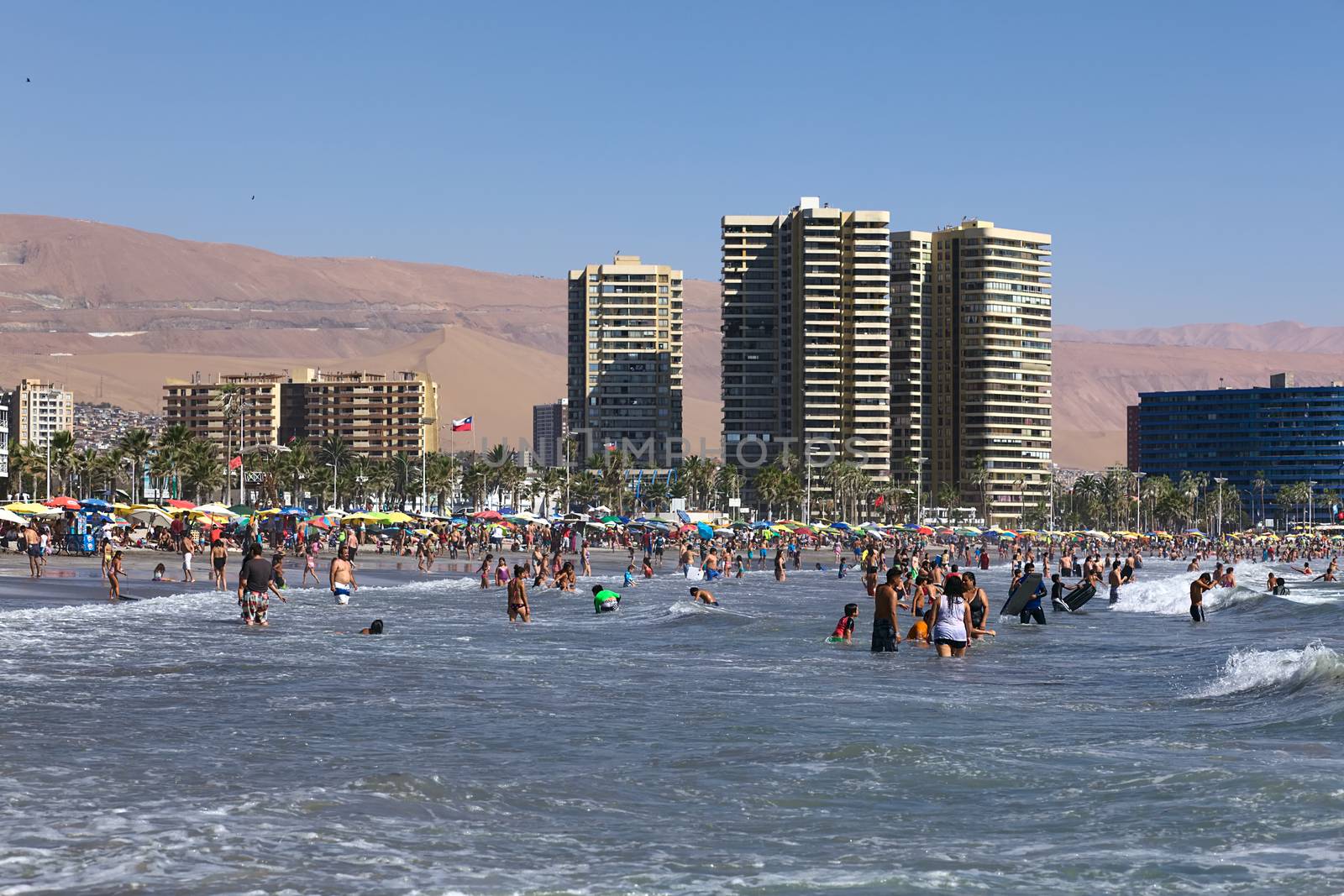 IQUIQUE, CHILE - FEBRUARY 10, 2015: Unidentified people bathing in the Pacific ocean at Cavancha beach on February 10, 2015 in Iquique, Chile. Iquique is a popular beach town and free port city in Northern Chile.