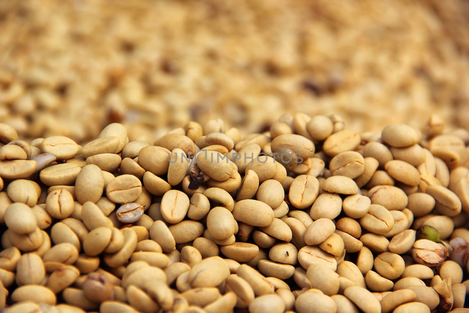 Background texture coffee beans are dried before roasting