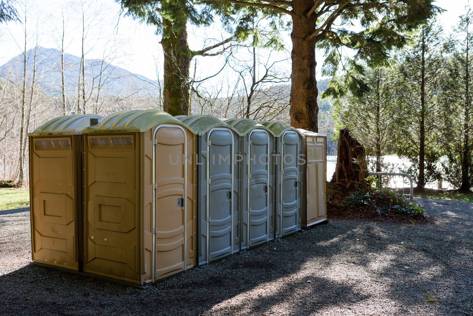 Row of public Portapotty toilets in a park for public ablutions using chemical toilets and deodorizers for smell, standing in the shade of a tree with closed doors