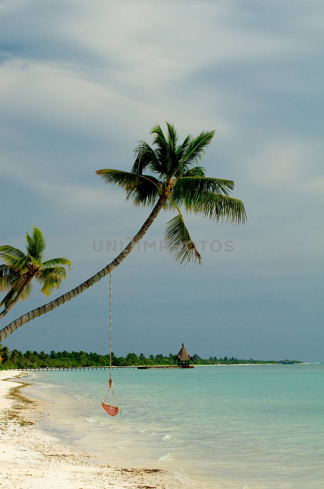 Palm Trees with Hammock in Indian Ocean Sand Beach on Cloudy Sky Background Outdoors