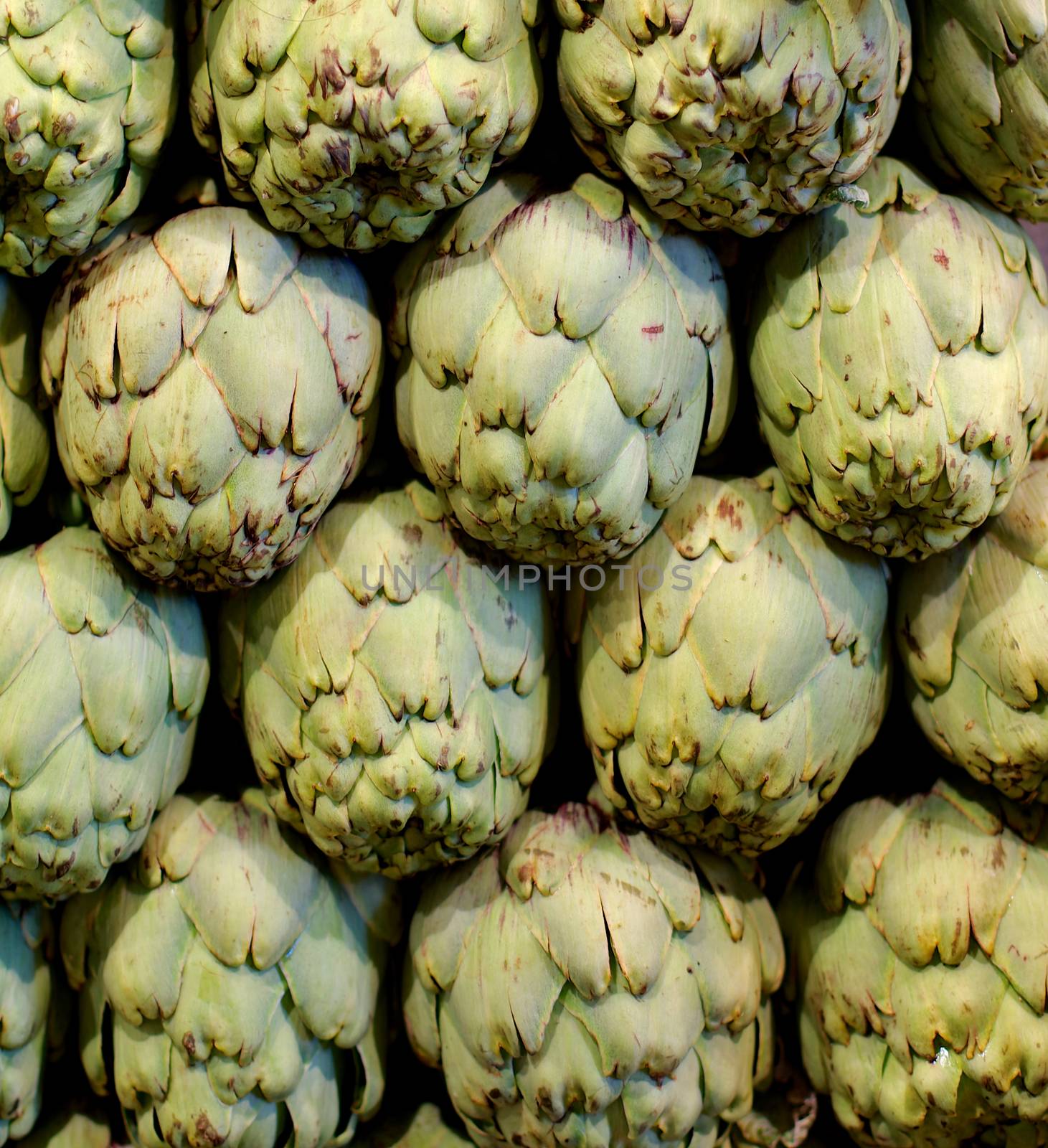 Background of Raw Ripe Artichokes Outdoors on Farmer Market Stand