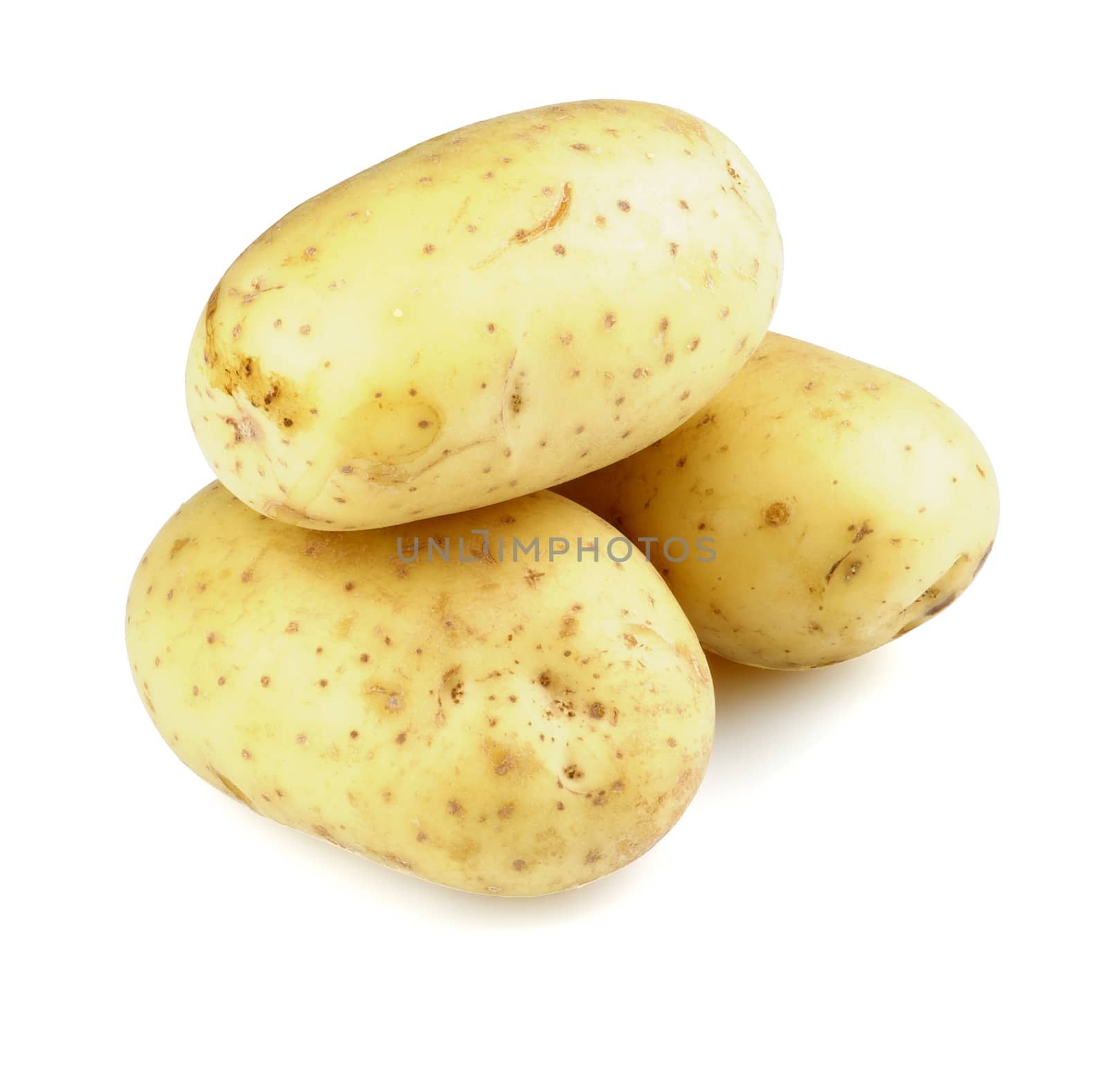 Three Big Raw Yellow Fingerling Potatoes isolated on white background