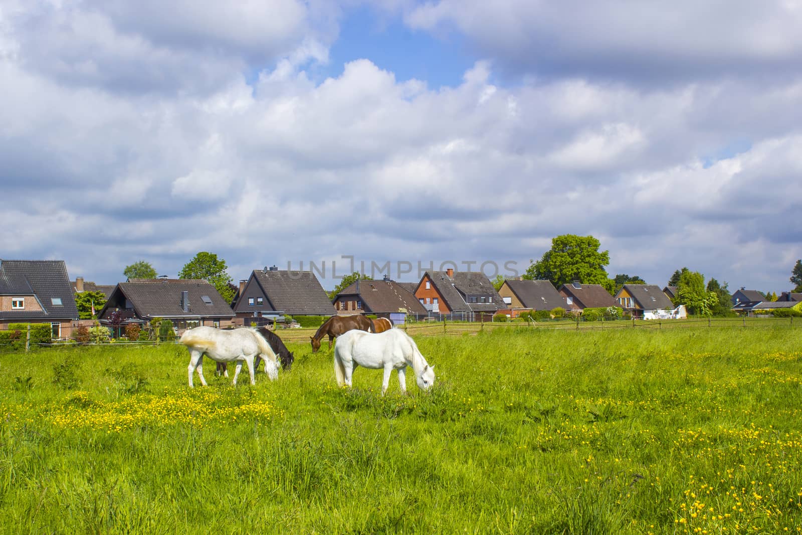 German countryside landscape, Lower Rhine Region by miradrozdowski