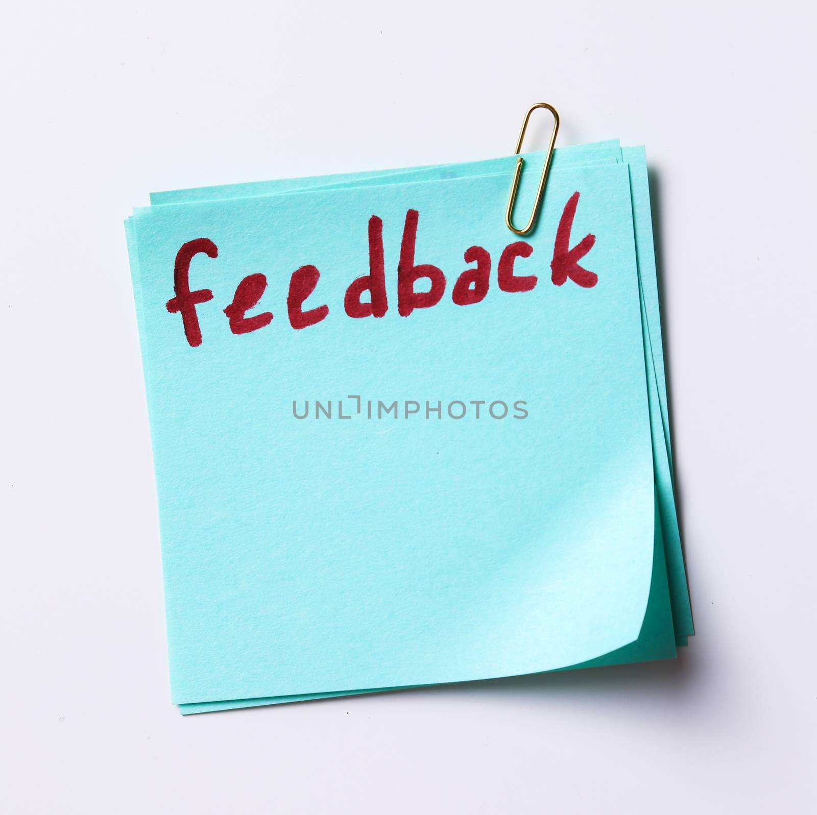 Study. The need of feedback