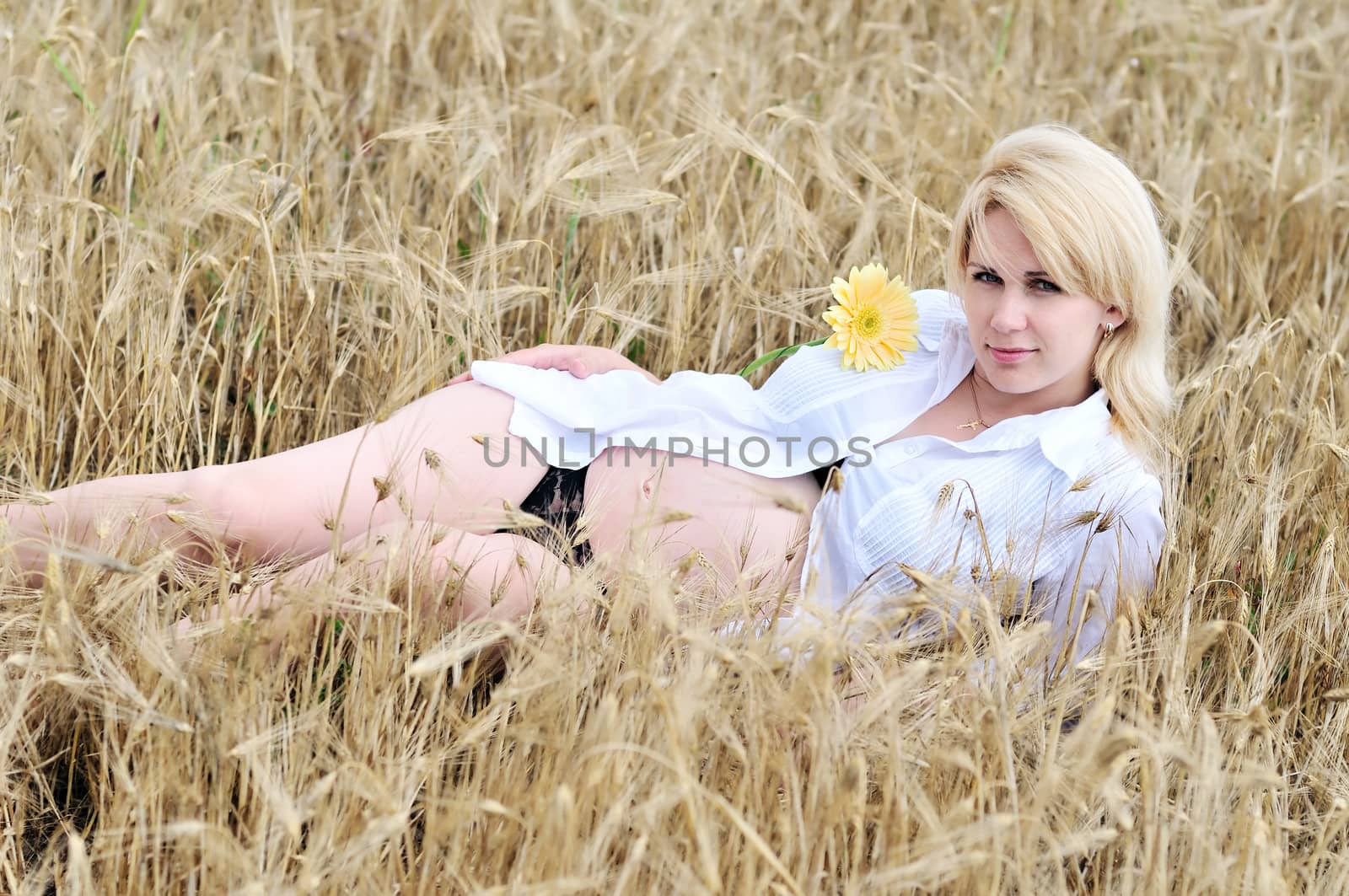 pregnant beauty woman relaxing in wheat field with  gerbera