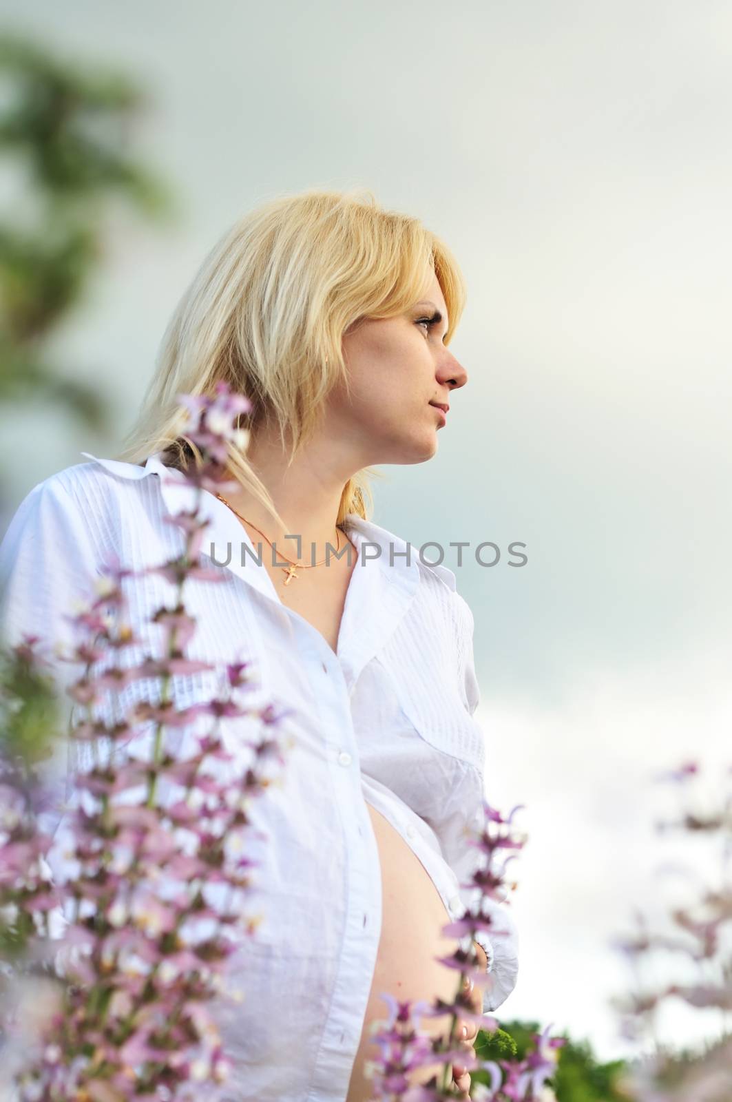 beauty blonde pregnant woman standing in the field