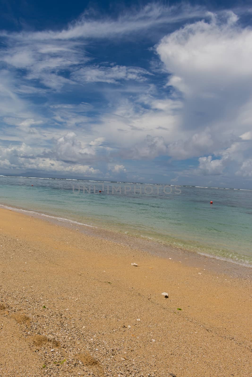 Beautiful tropical beach with lush vegetation fringing golden sand and a tranquil ocean with gentle surf breaking on the beach