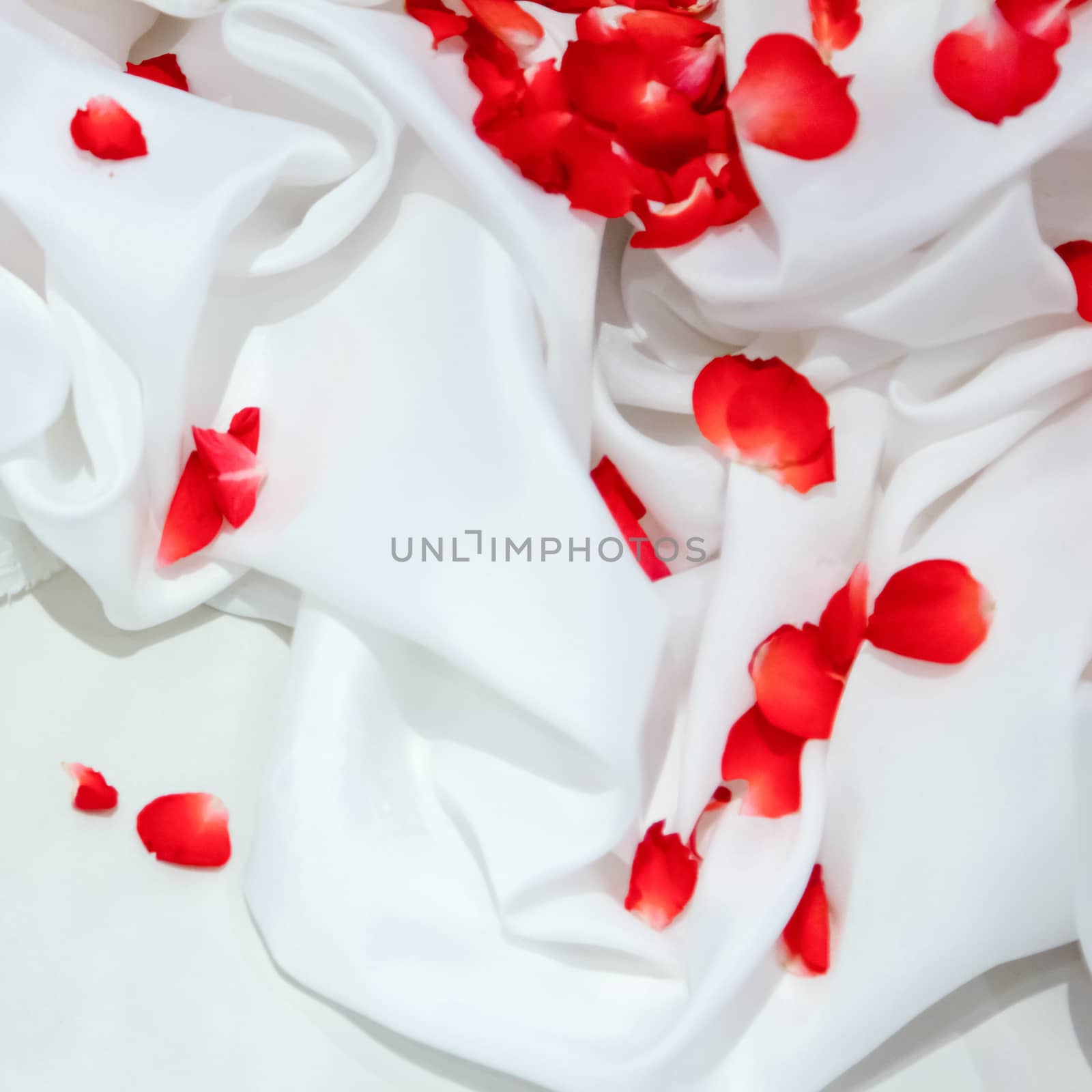 Rose petals on white fabric with background