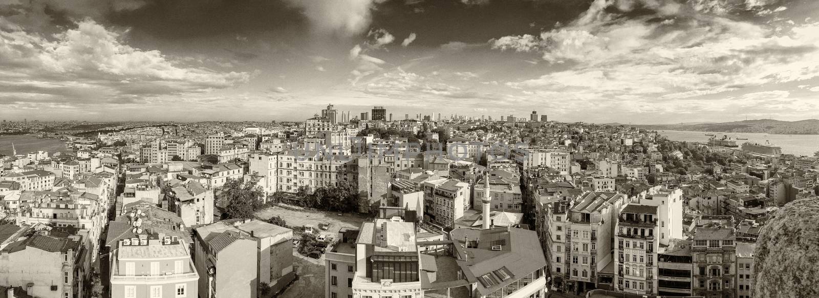 Istanbul Panoramic view on a beautiful day by jovannig