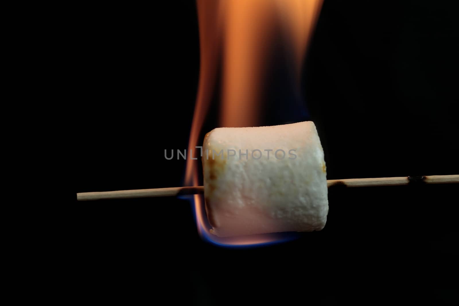 Marshmallow on a wood stick in fire.