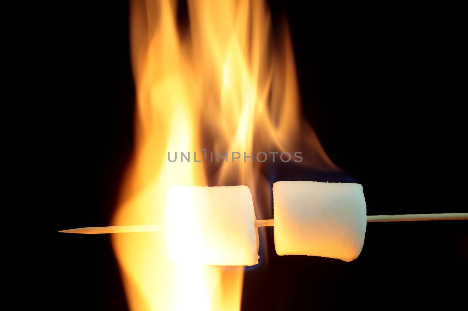 Marshmallow on a wood stick in fire.
