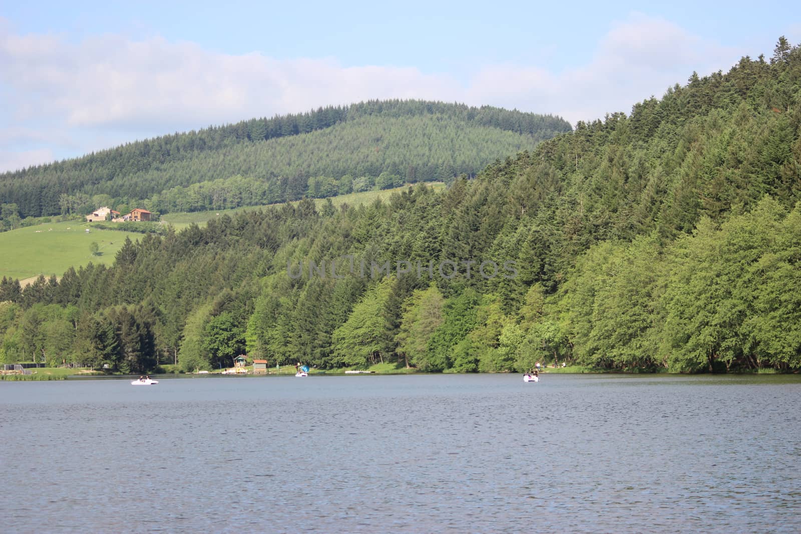 Lac des sapins "the lake of the fir-trees" is an artificial lake located in the region of Rhône-Alpes - 65 km northwest of the city of Lyon (France)