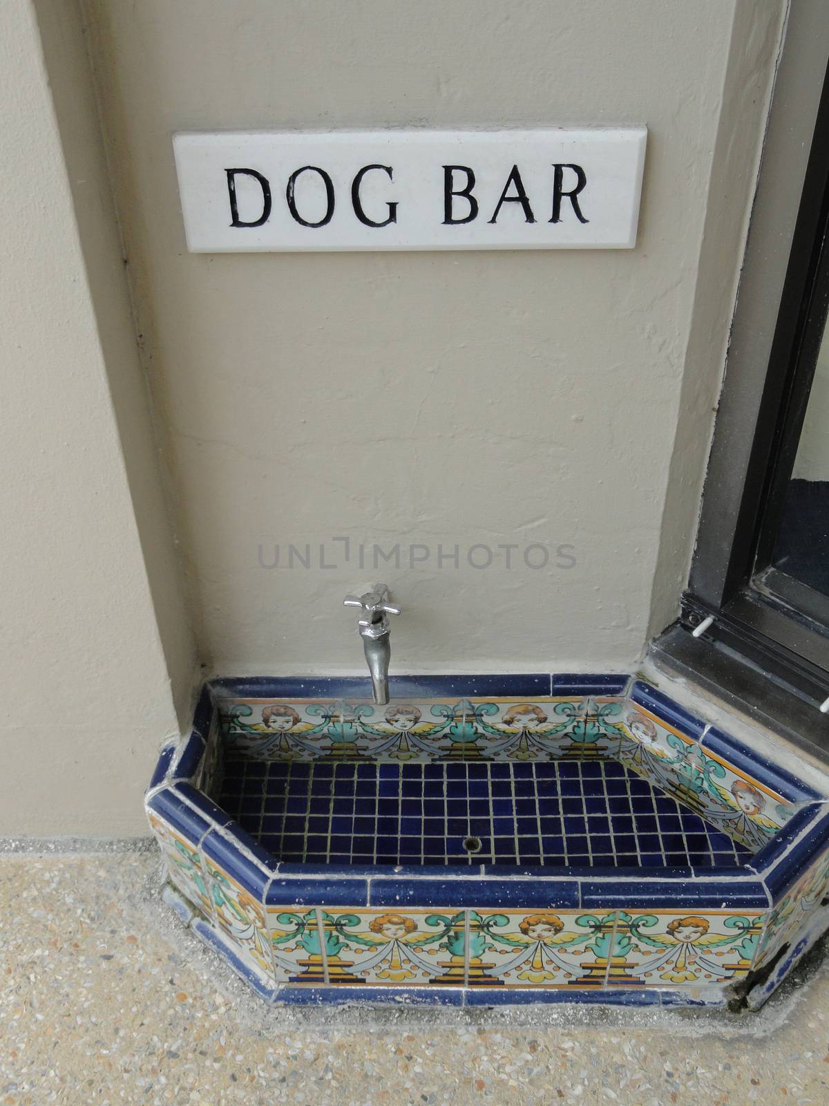 Dog Pet Water Fountain. Palm Beach Florida
