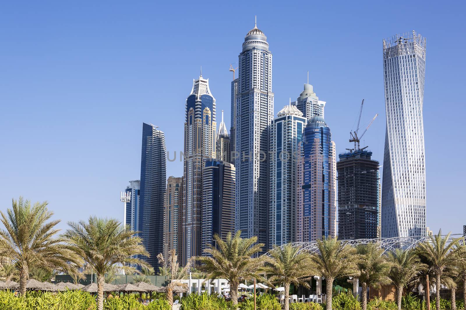 skyscrapers and palm trees in Dubai. UAE 
