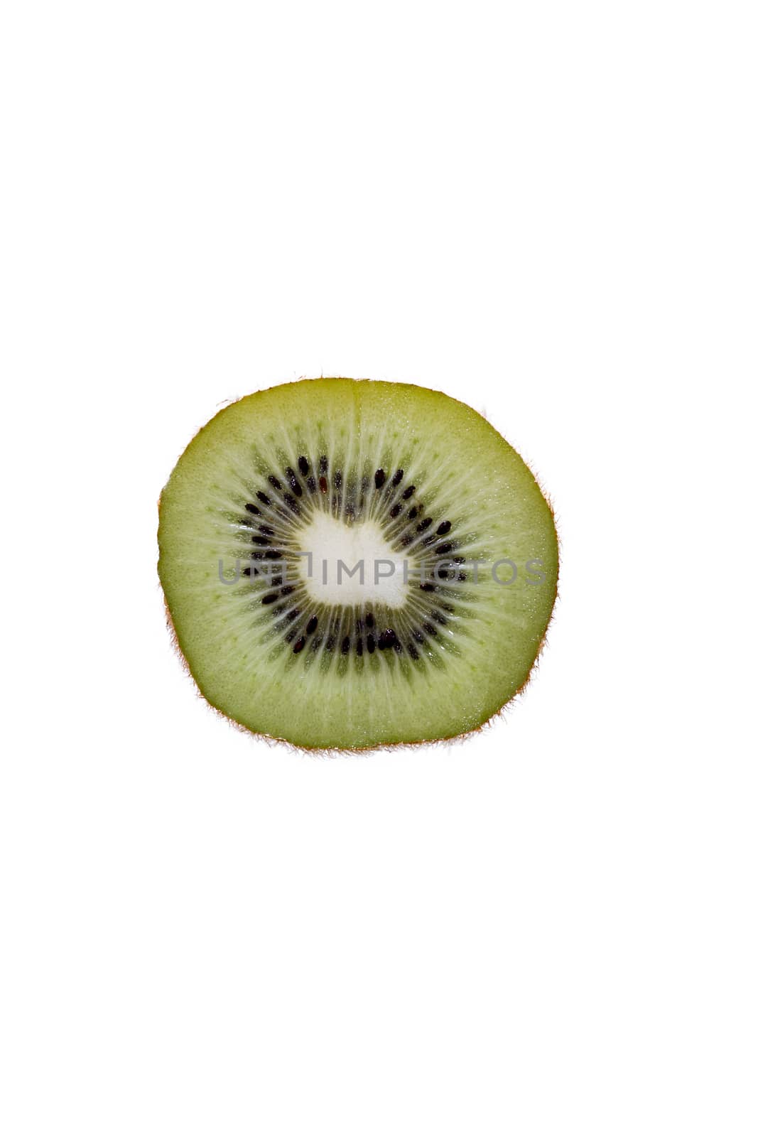 Delicious juicy halved fresh kiwifruit showing the sweet succuent pulp and ring of seeds forming a decorative pattern, isolated on white