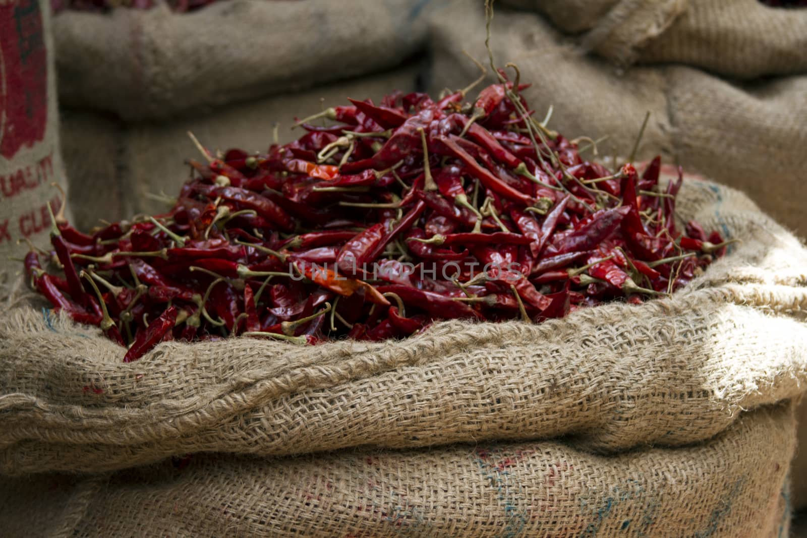 Dried red chili peppers in sacks in India Goa.