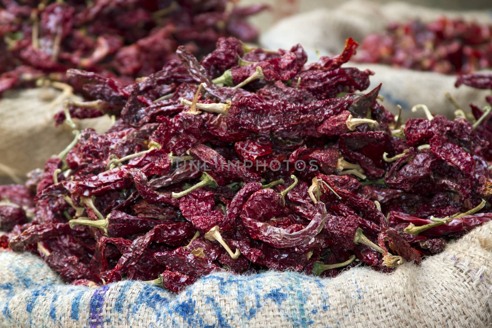 Dried red chili peppers in sacks in India Goa.