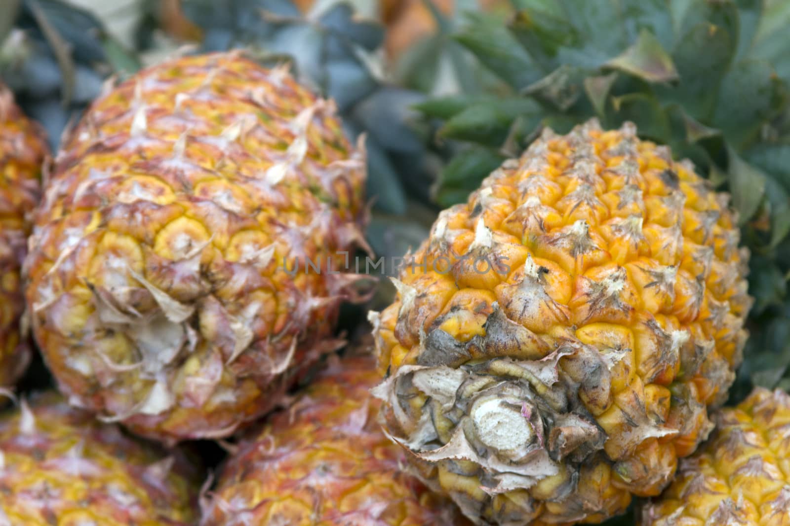 Fresh juicy pineapple on the market in India Goa by mcherevan