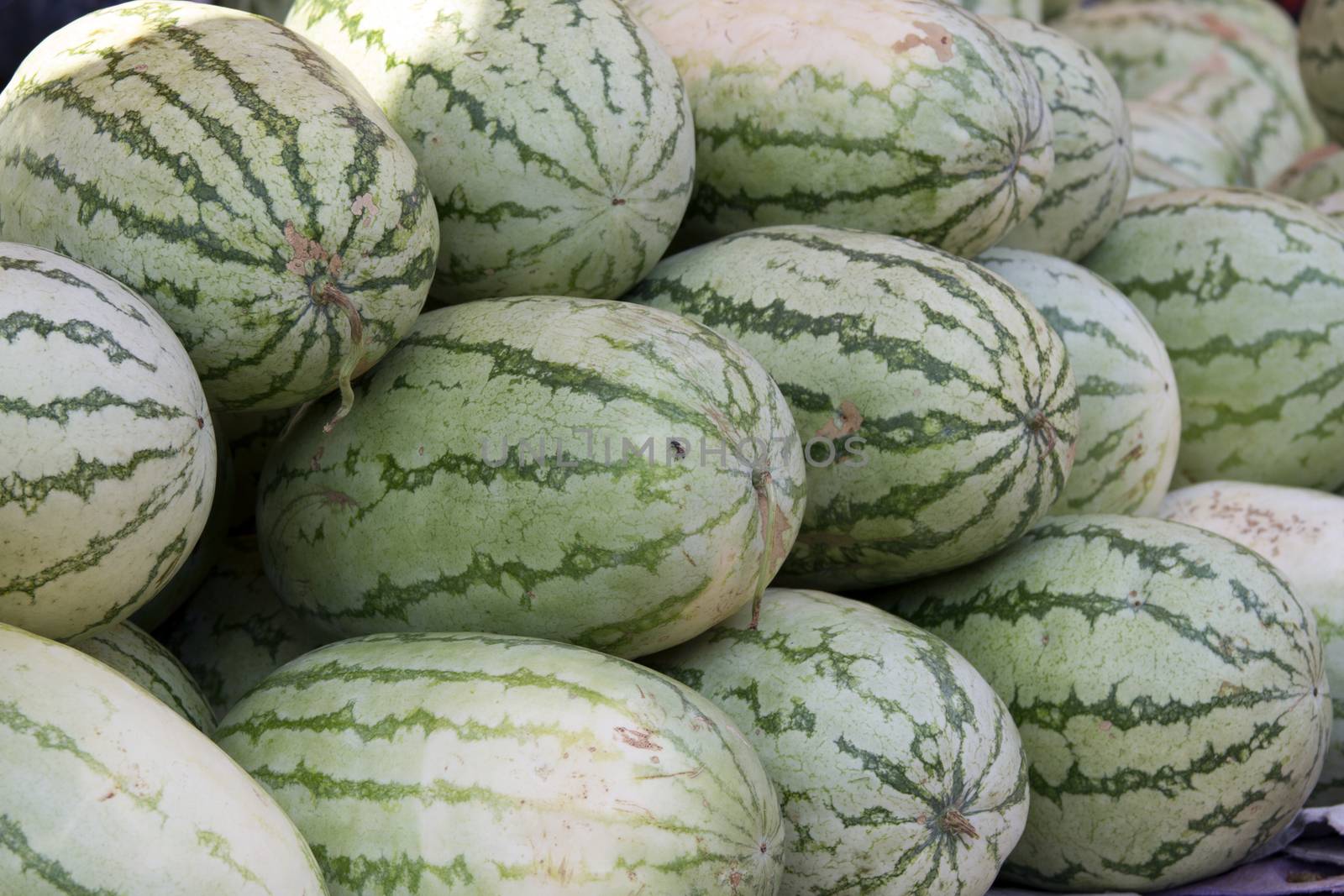 Fresh juicy water-melon on a counter in the market of India of Goa.