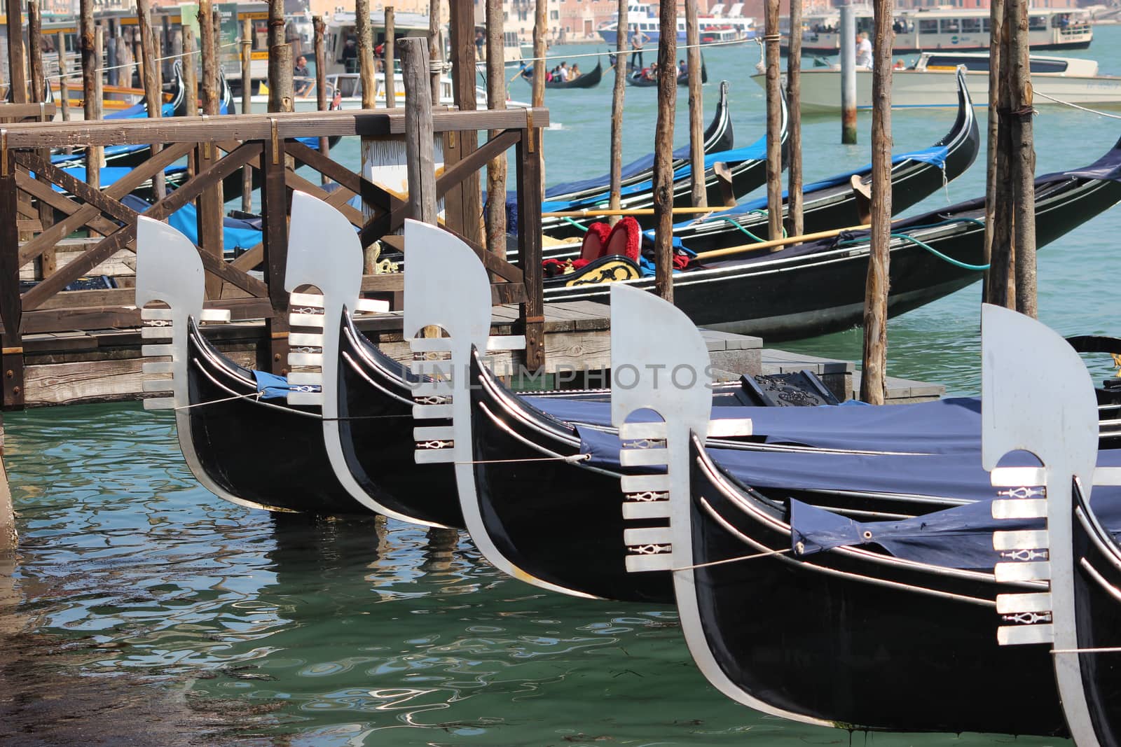 Gondolas Gondolas lined up 
on the Grand Canal in Venice, Italy