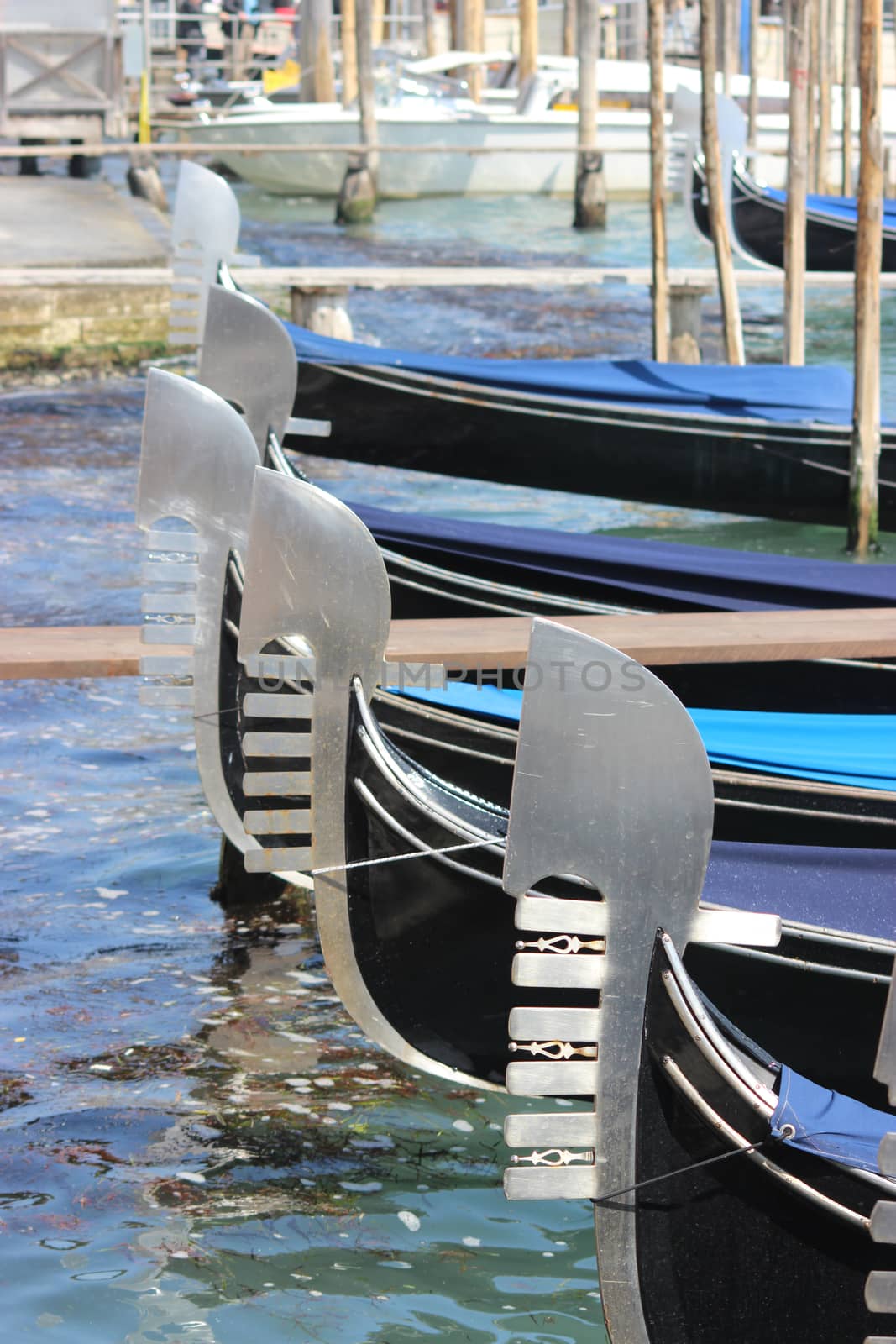 Gondolas Gondolas lined up 
on the Grand Canal in Venice, Italy