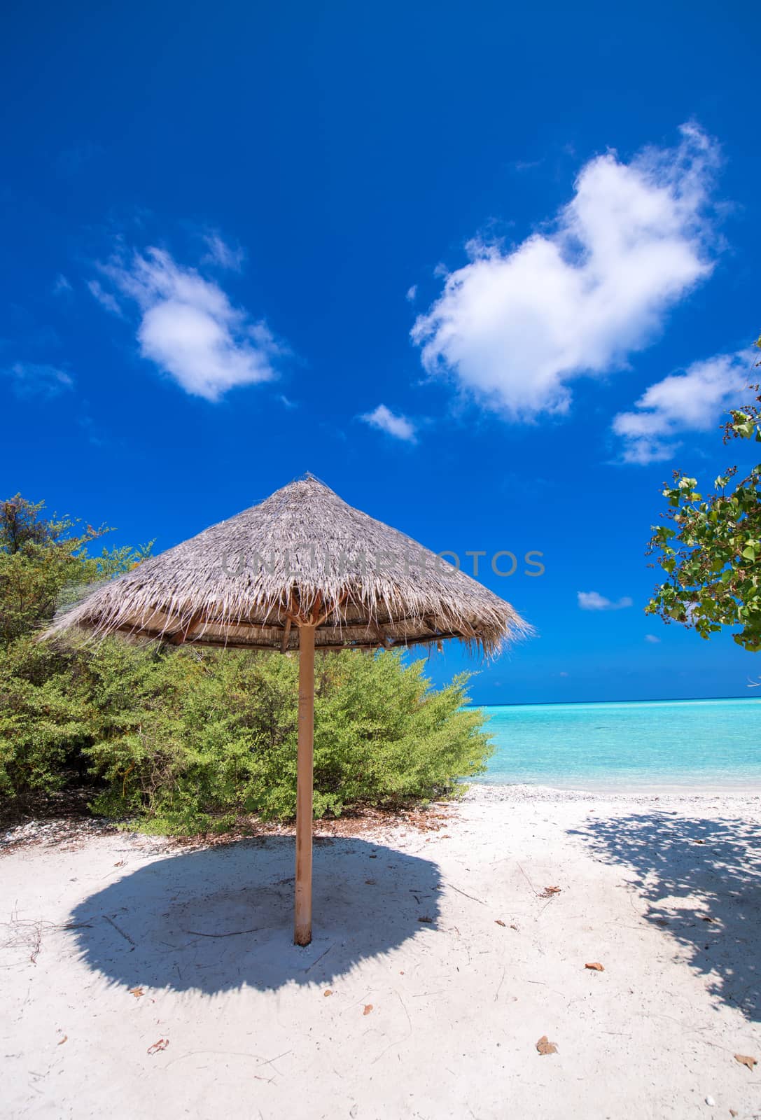 Tropical beach with straw umbrella over turquoise ocean water.