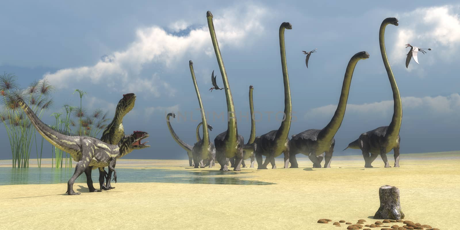 Three Dorygnathus flying reptiles watch as two Allosaurus predators prepare for an attack on a herd of Omeisaurus dinosaurs.