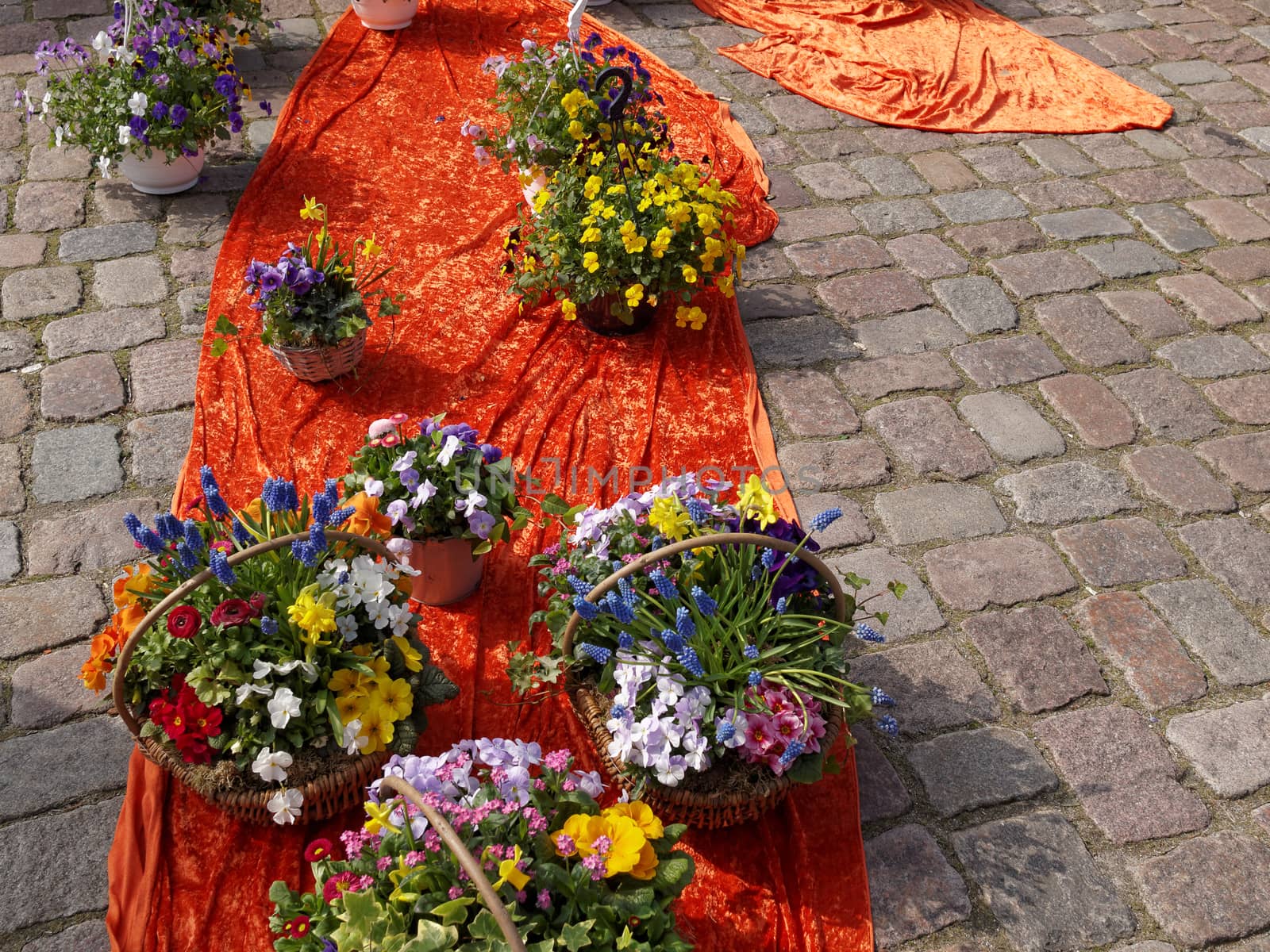 Colorful flowers for sale at a German street flower market Berlin Germany