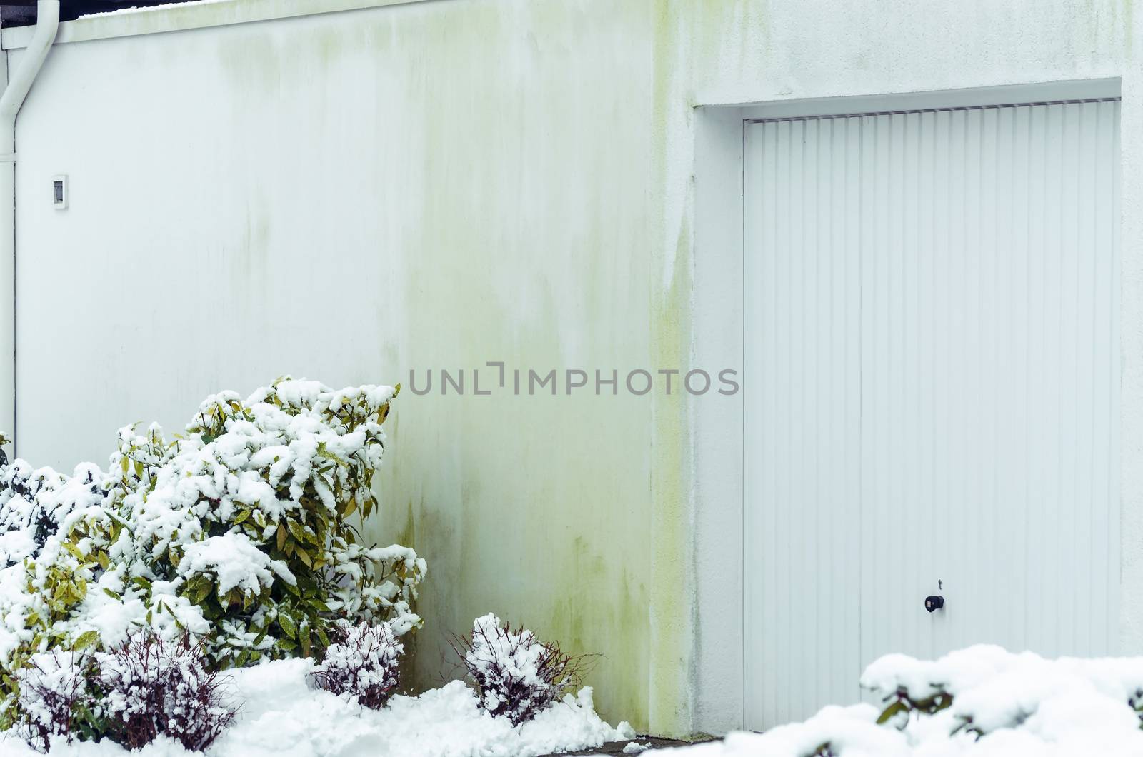 Algae on house wall by caused by insulation