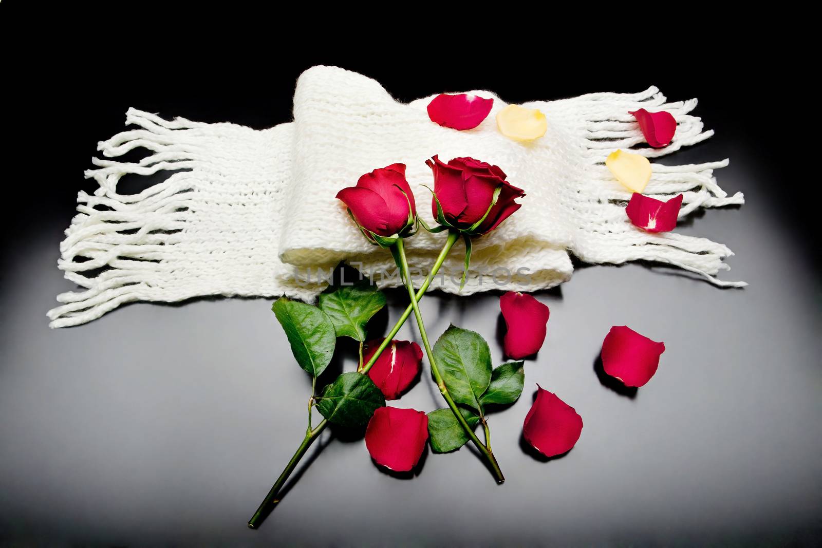 two red roses together with red petals on a black background on a scarf
Poetry.