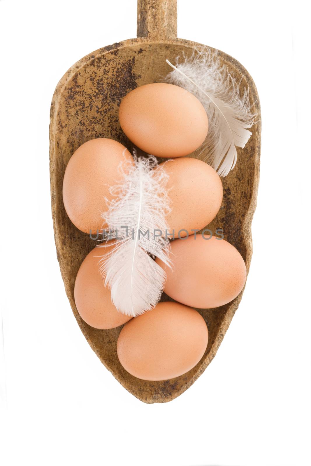 Fresh organic natural brown eggs on wooden spoon isolated on white background. Fresh modern image language. Culinary arts. 