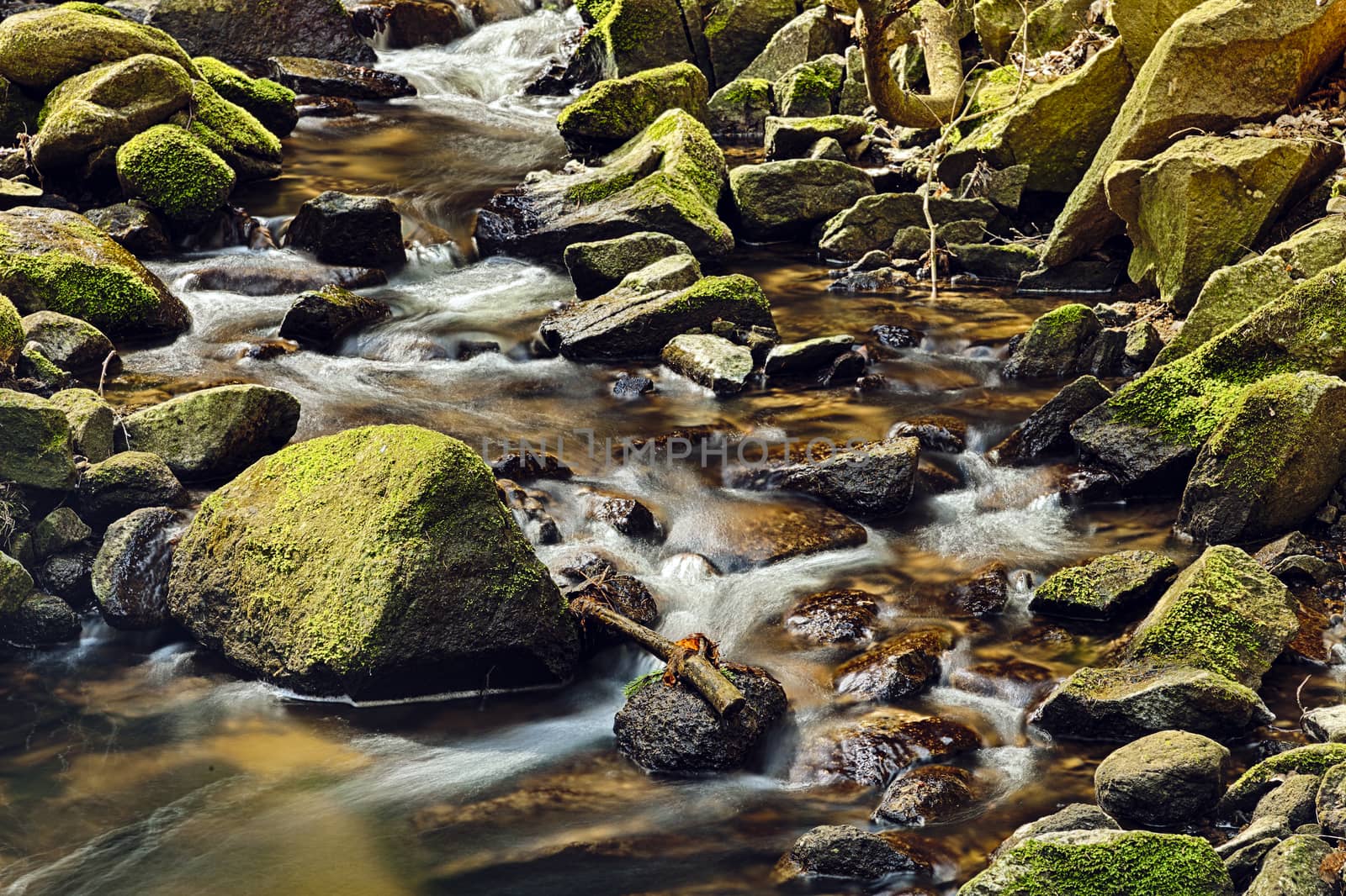 River runs over boulders in the primeval forest - HDR