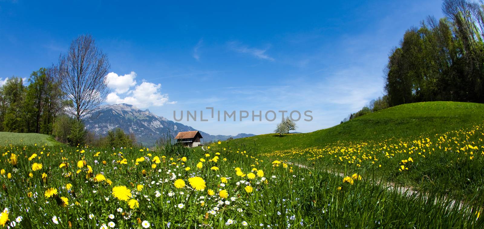 Landscape in mountains, natural colorful tone