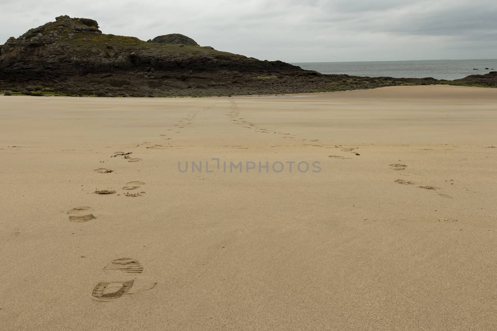 Some foot prints leading to a rock in front of the ocean