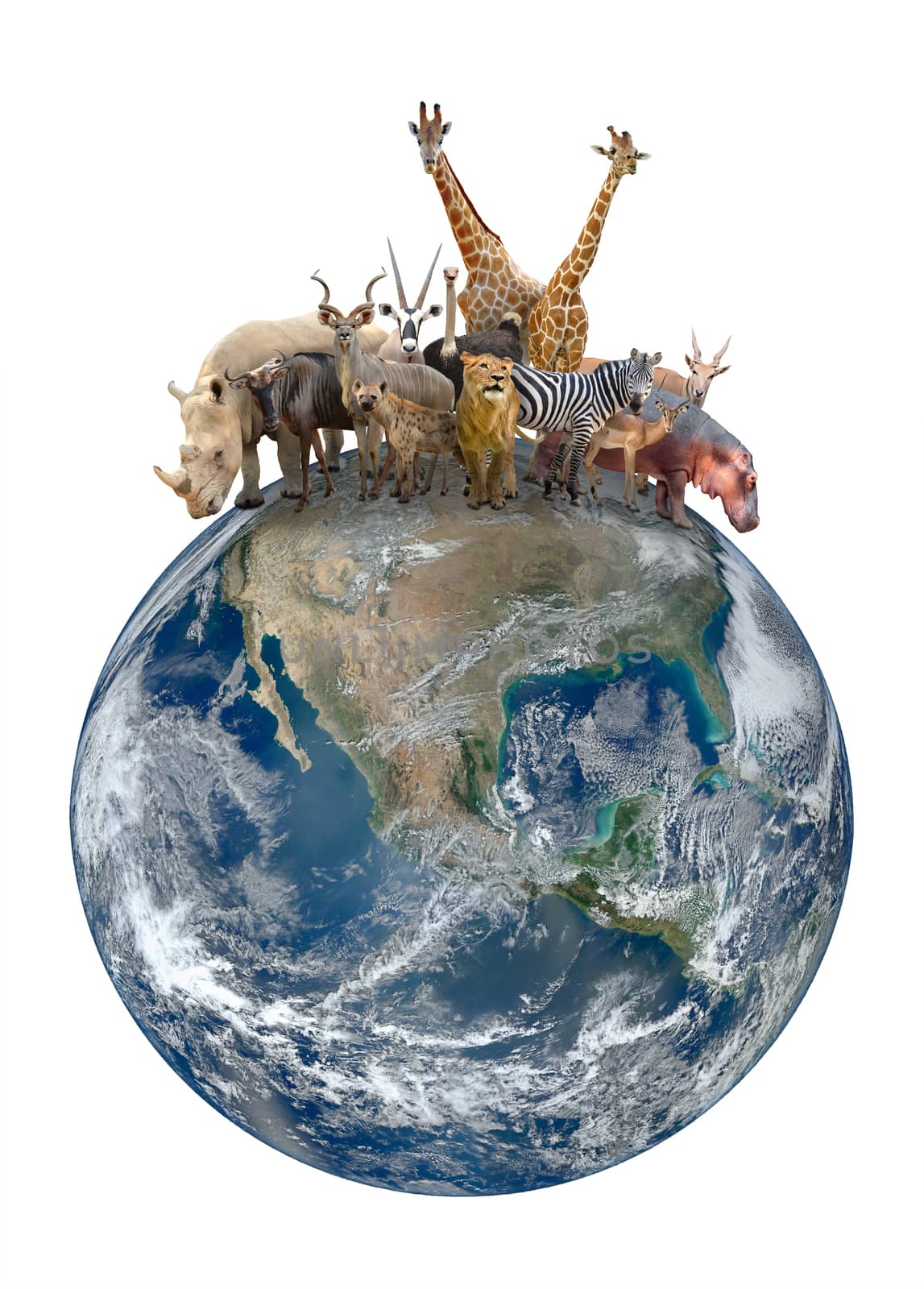 group of africa animal with planet earth by anankkml