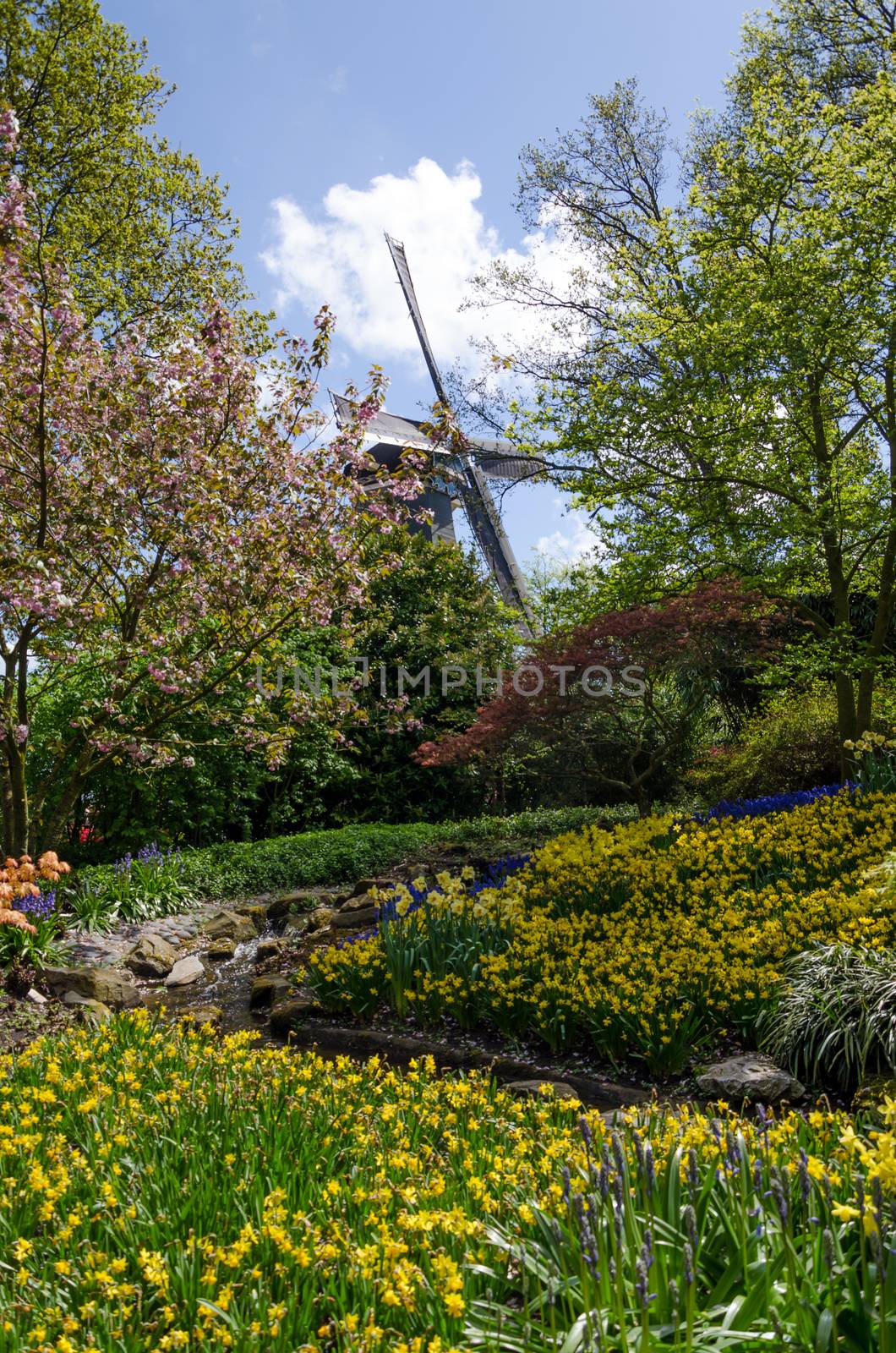 Windmill in Keukenhof garden, Lisse, Netherlands