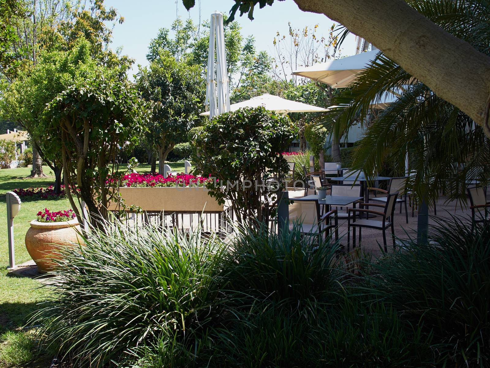 Romantic beautiful summer outdoor cafe in a lush green garden