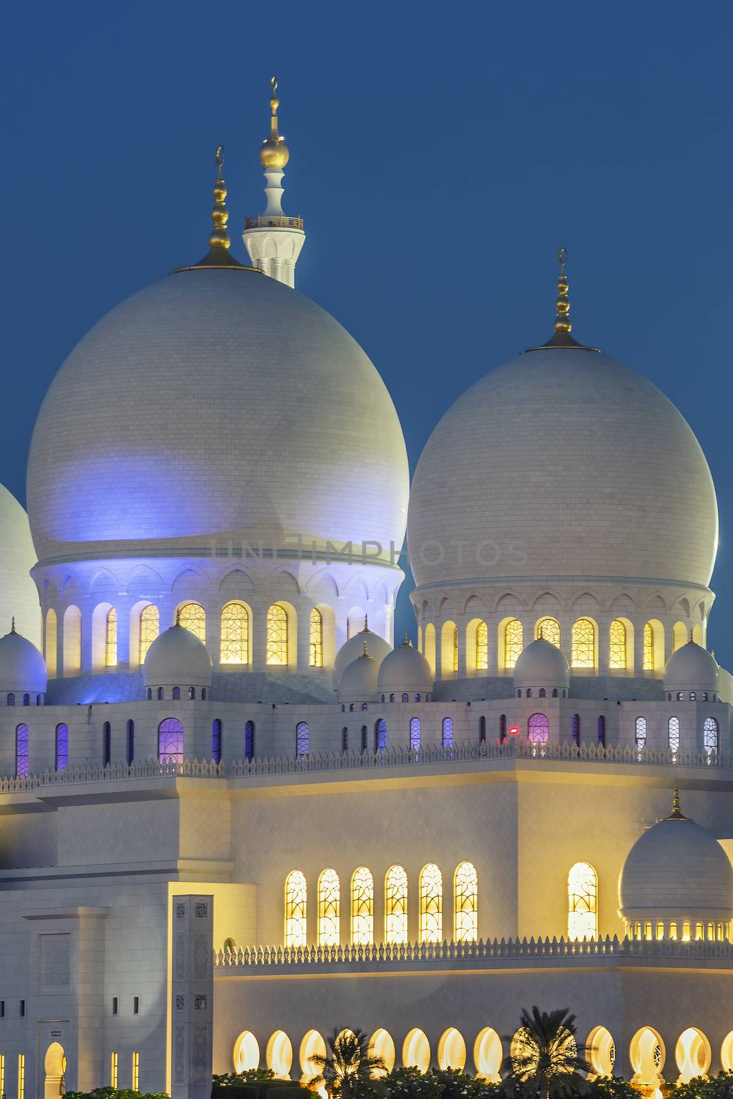 Part of famous Abu Dhabi Sheikh Zayed Mosque by night by vwalakte