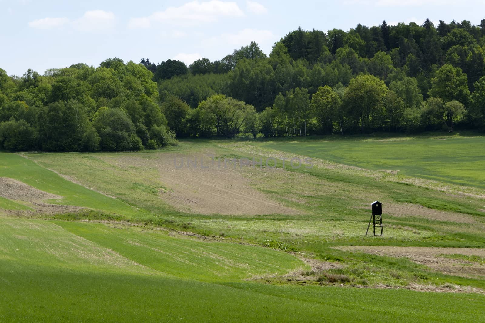 Landscape in the south of Czech Republic