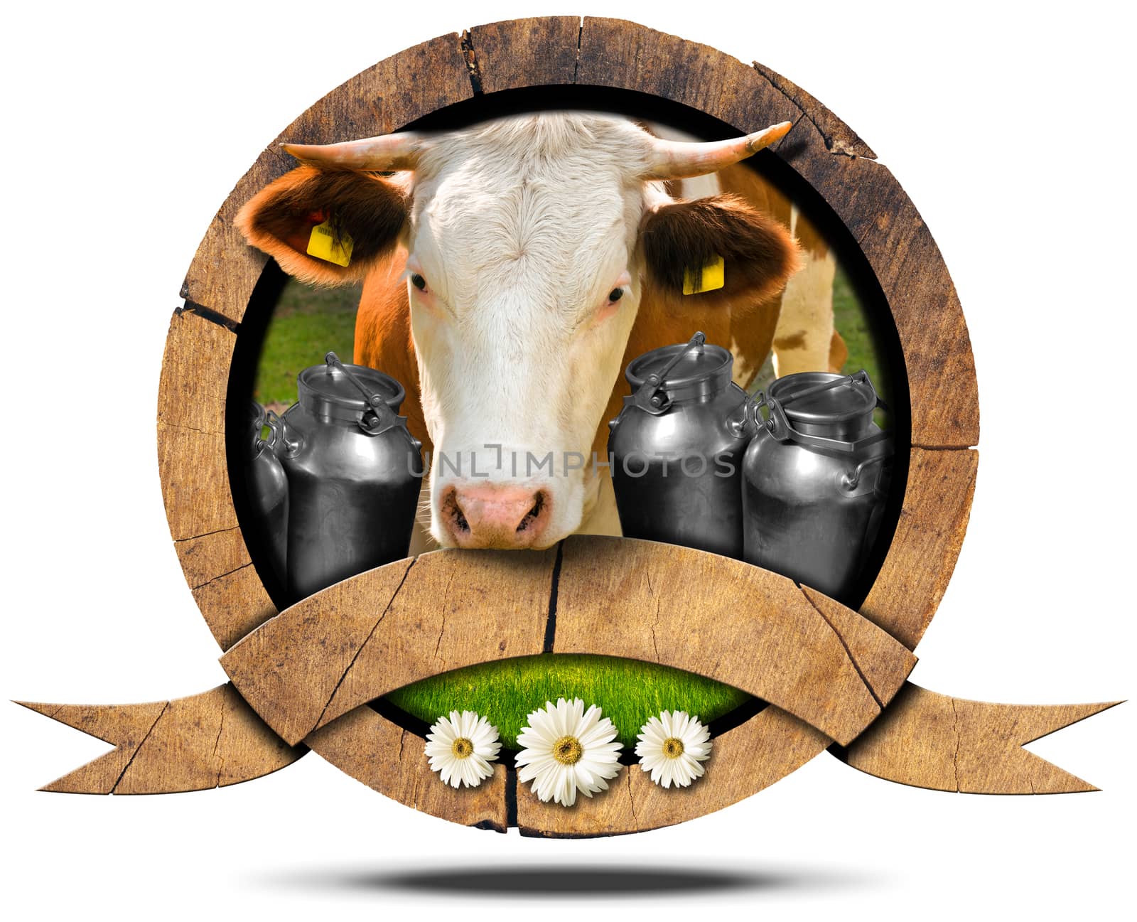 Wooden symbol with head of cow, cans for the transport of milk, green grass and three daisy flowers. Wooden empty ribbon for your text. Isolated on white