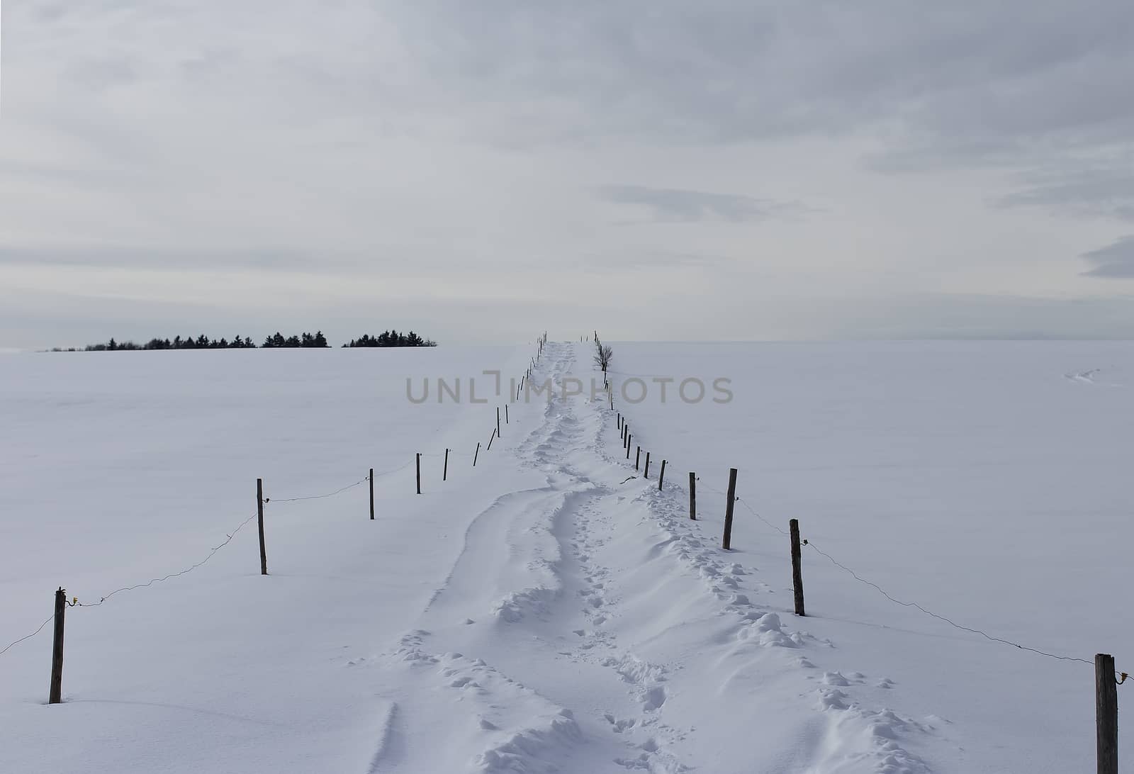 Uphill on the snowy scene with a fence to guide you