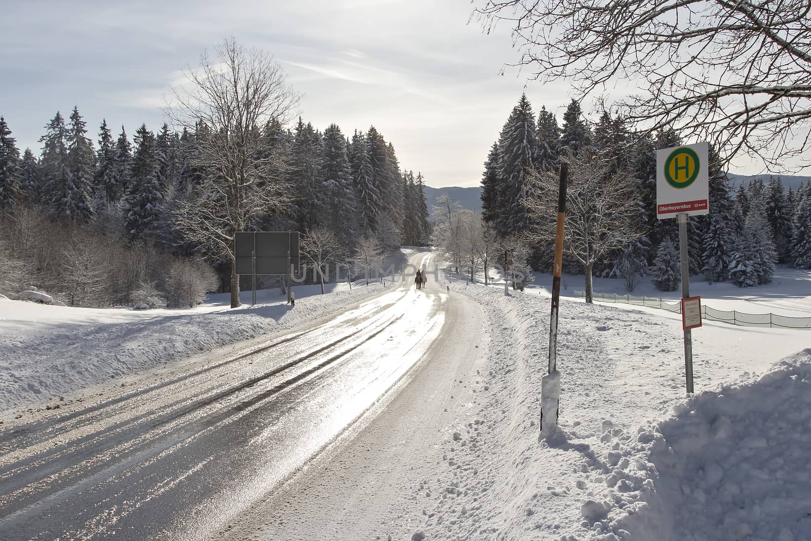 Horse riding in the nature on a winter road