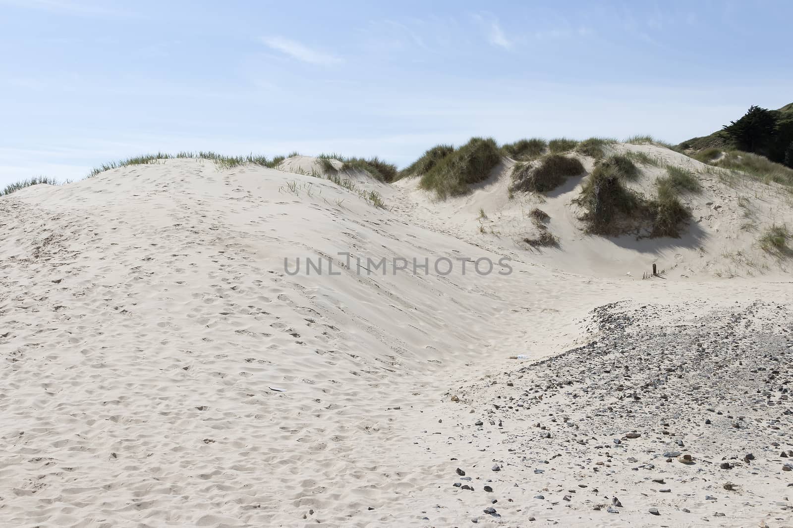 Sand and more sand on a dune