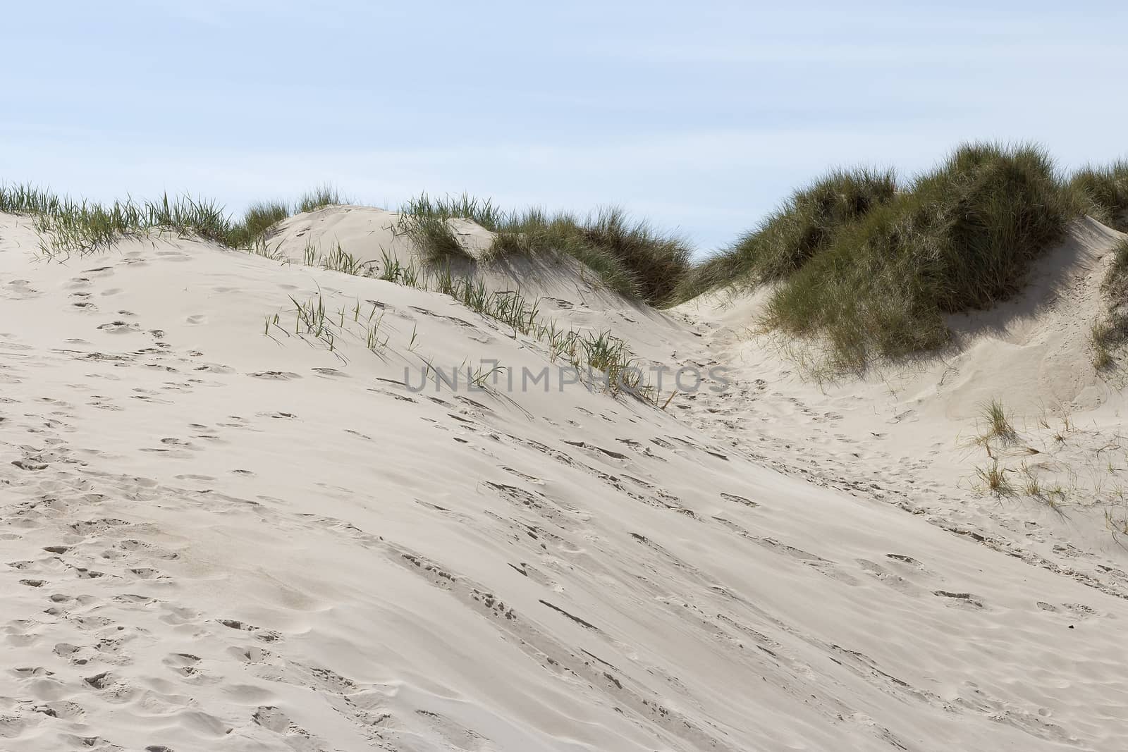 Sand and grass on a dune by lasseman