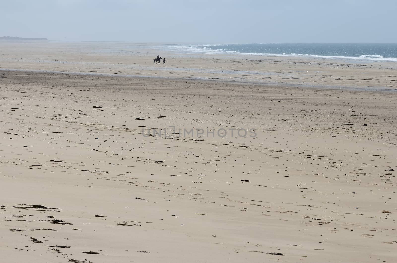 At day at the beach by lasseman